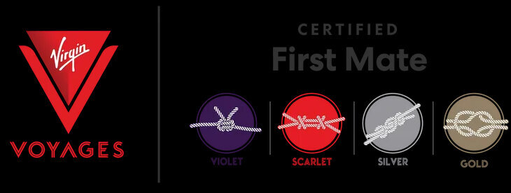 VV certified logo