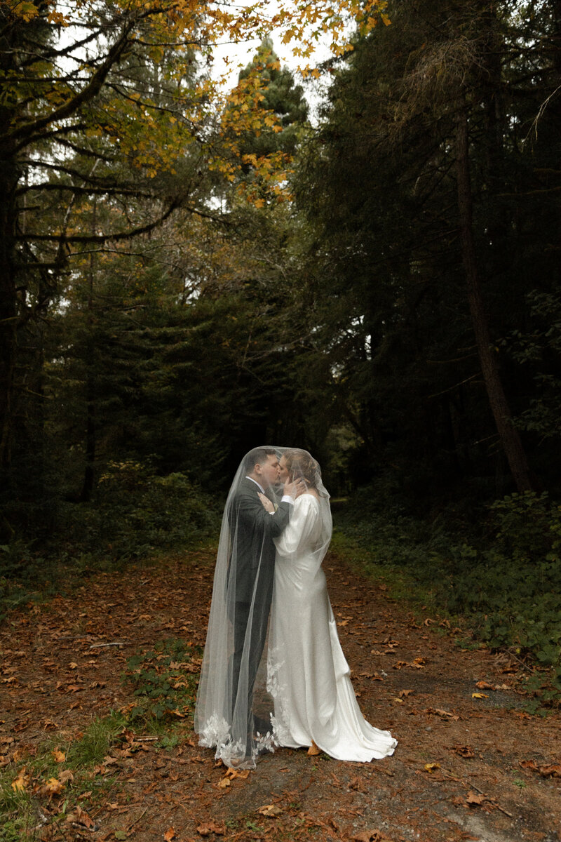 Redwoods Elopement Photographer