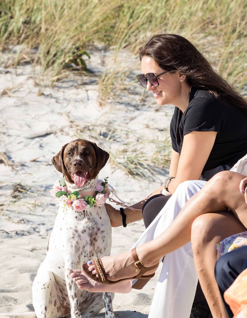 pawfect-for-you-work-for-us-pet-sitters-beach-wedding