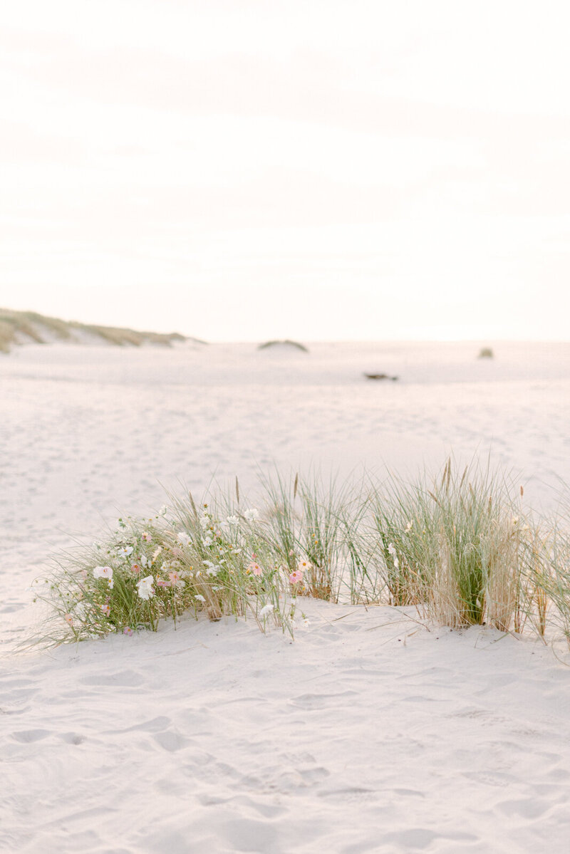 beachwebsite-09