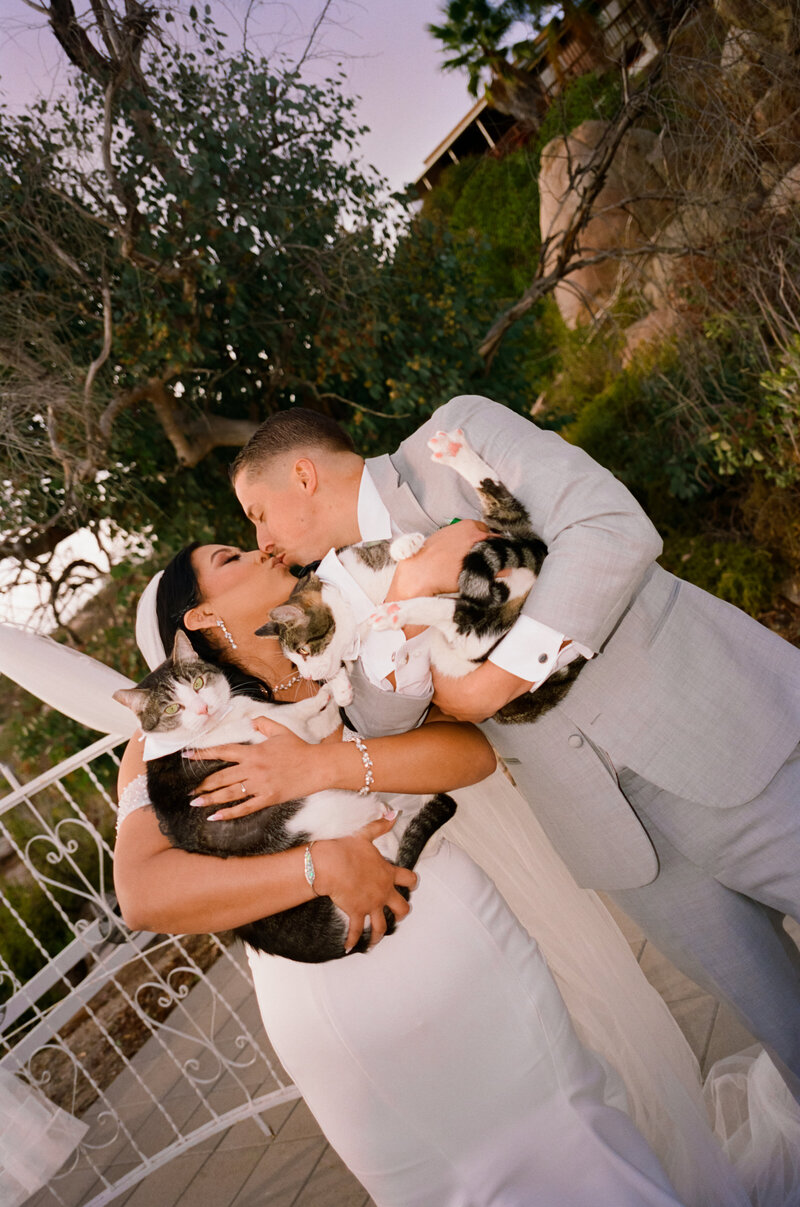Castillo Holliday Photo + Film _ Adrik + Alexis Wedding _ January 16th, 2025 _ San Deigo, CA _ Wedding PREVIEW-22