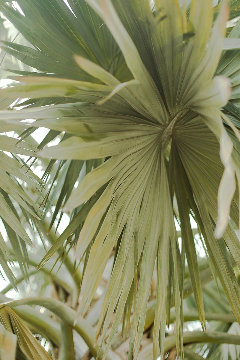 06.2018___Anniversary___Katlyn___Bryce_(1_of_79)