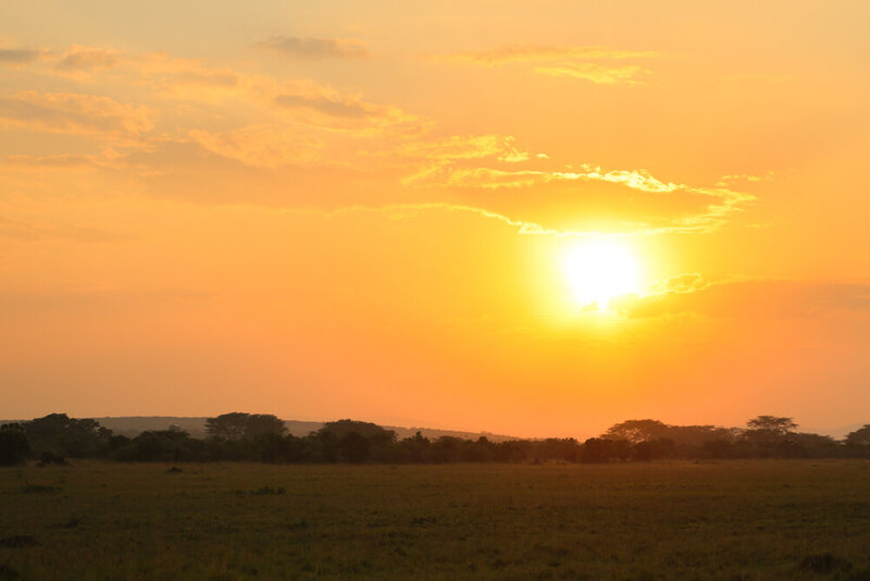 safariedited-530