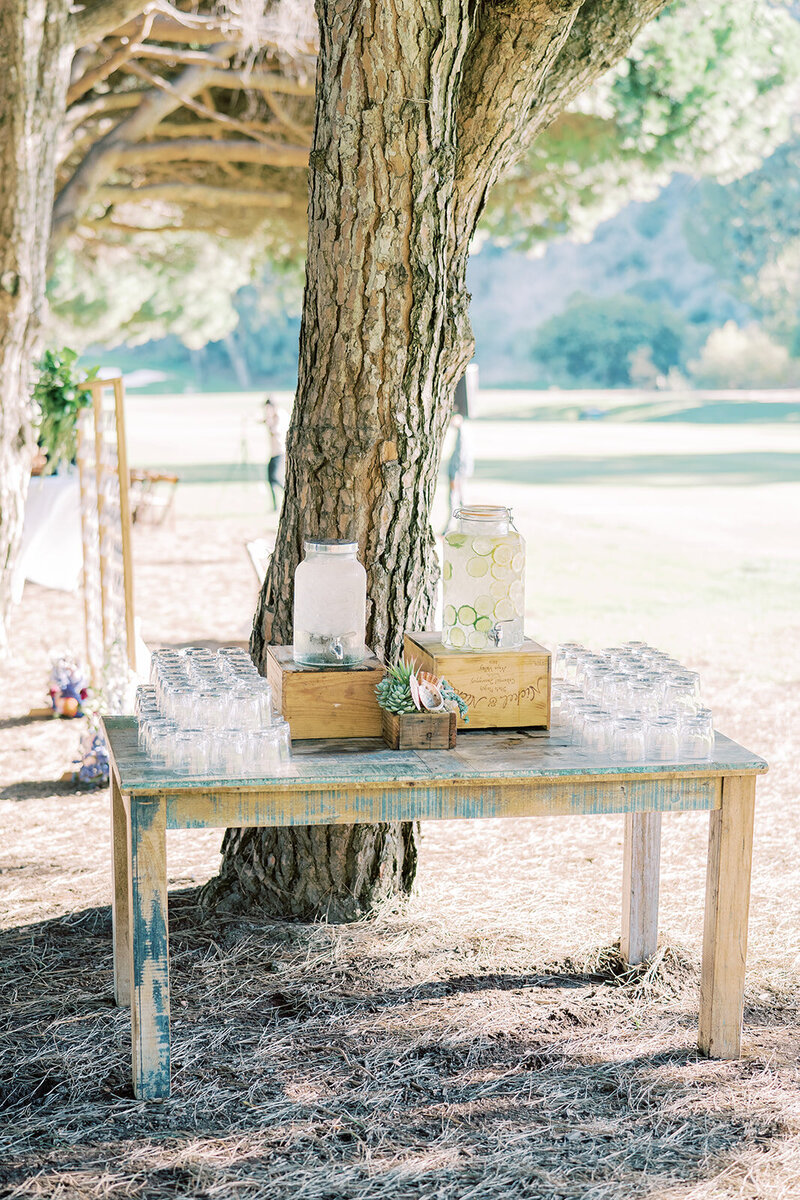 Details - Kenny + Bailey_s Wedding - Natalie Schutt Photography-50