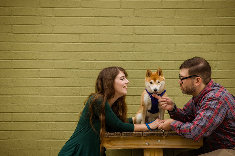 A dog sitting charmingly on a table while receiving all the attention from its engaged owners during an engagement session, capturing a fun and heartwarming moment that highlights the special bond shared with their furry family member.