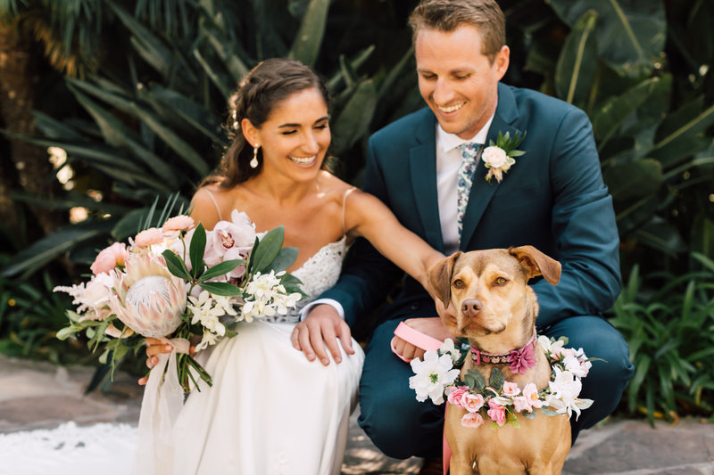Website Design for Photographers | Images by Plum and Oak Photo 82