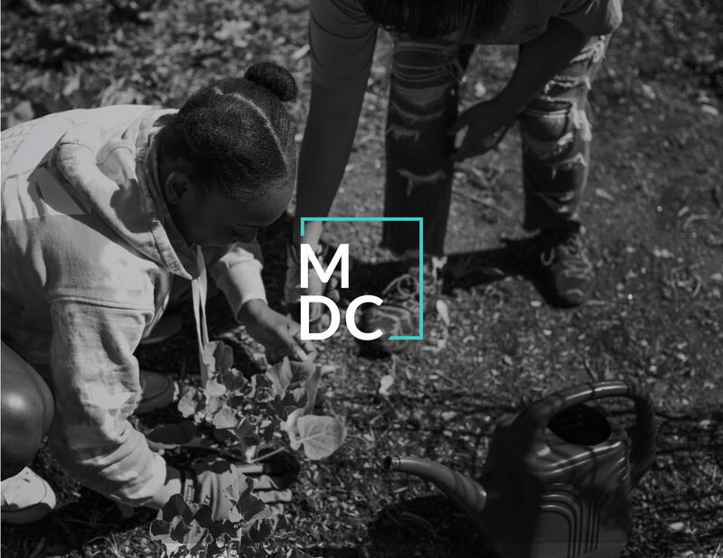 Young Black girls doing community gardening