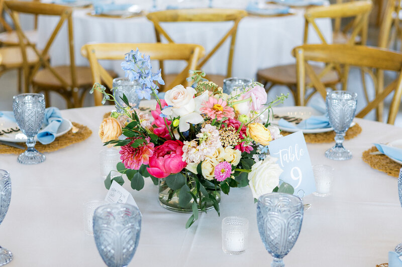 Shannon-bryn-photo-730