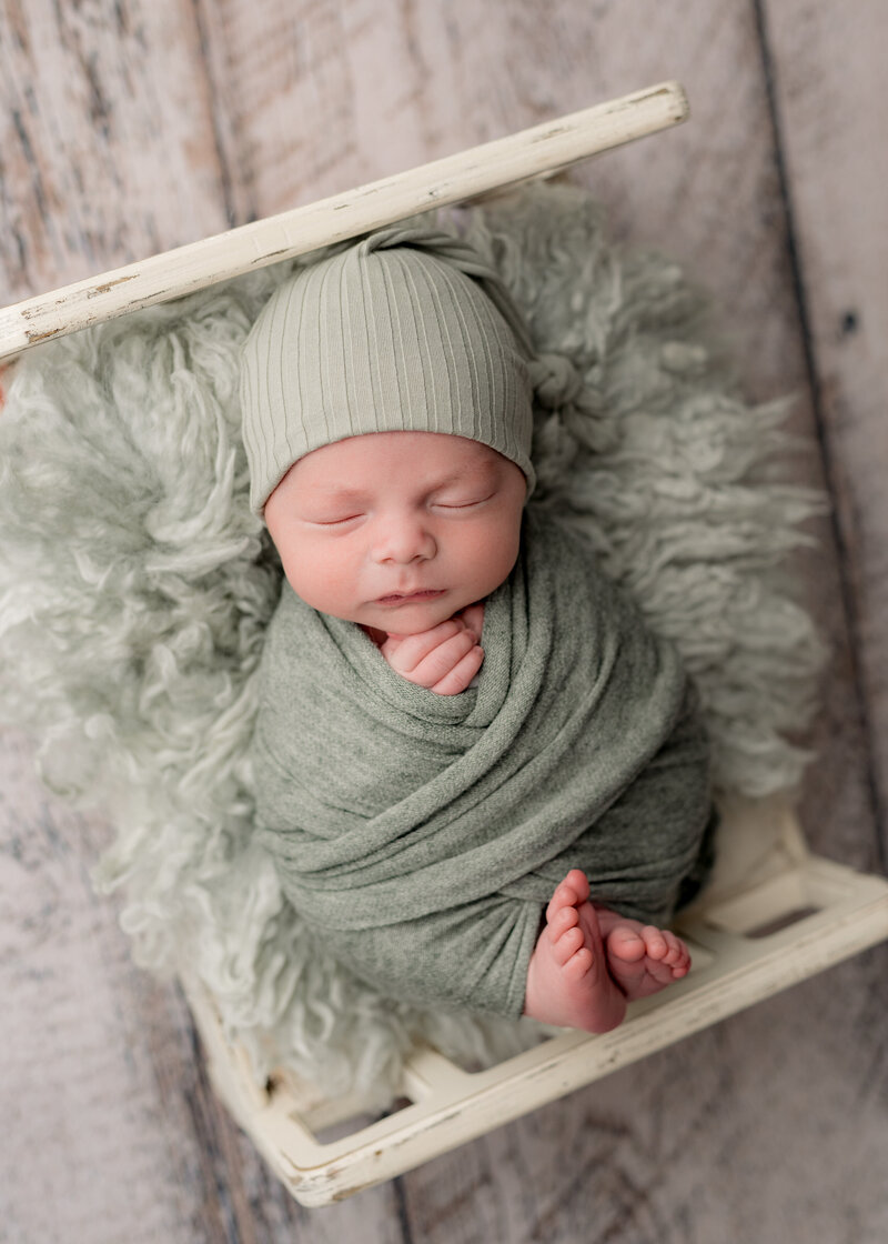 boston-newborn-photographer-538