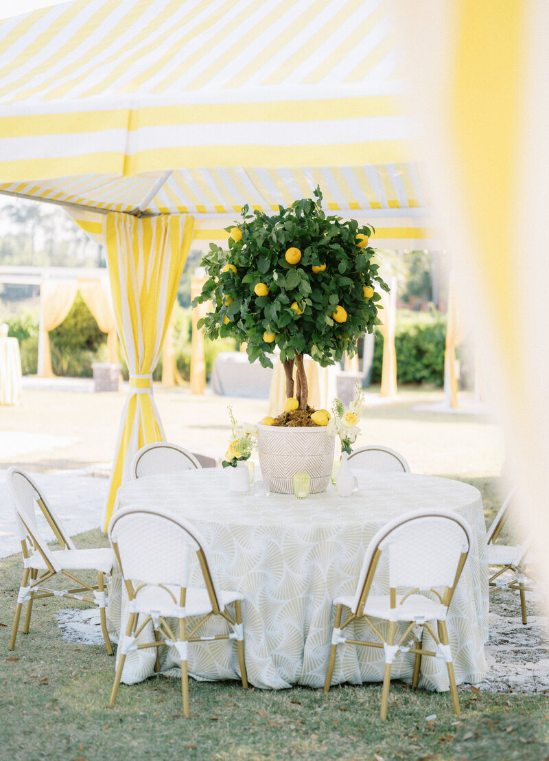 04-23-2024-D&V-Previews-14