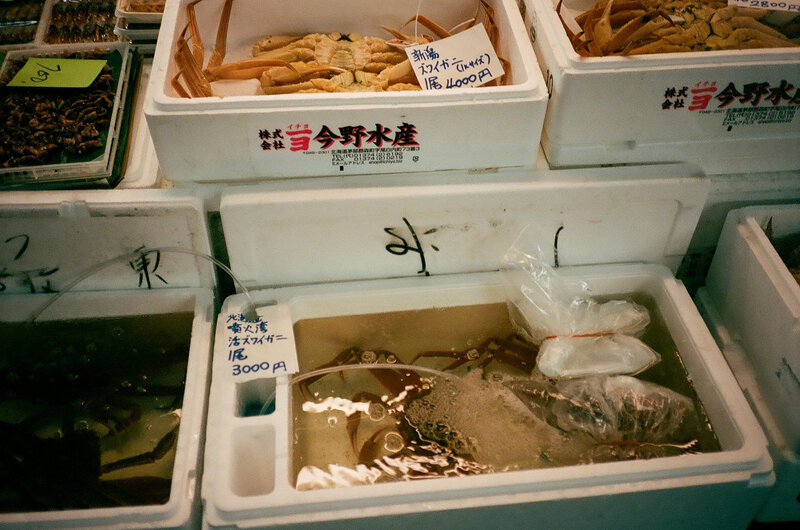 tsukiji-fish-market-japan006