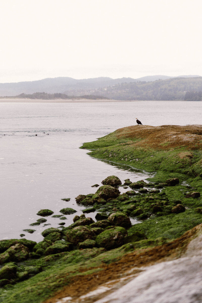 Oregon-Coast-Couples-Photography-17