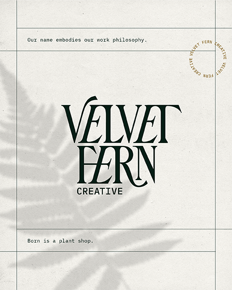 VelvetFernCreative-18