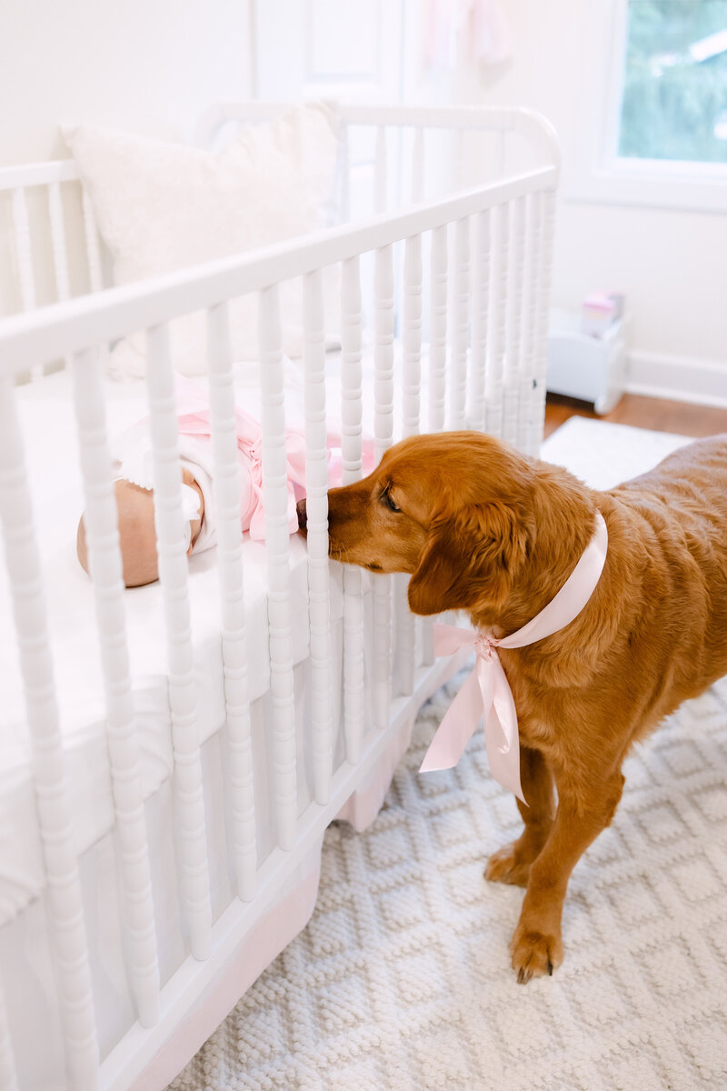 kelsee-risler-photography-new-york-newborn-photographer-in-home-buffalo-sophia-plaister-newborn-125