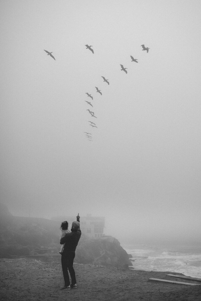 Dad holding daughter pointing at pelicans flying on foggy day at San Francisco beach location