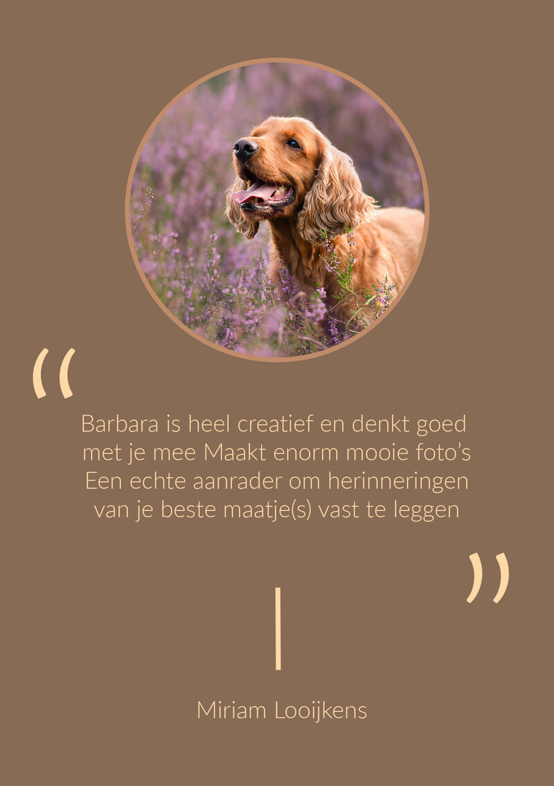 Review MIRIAM