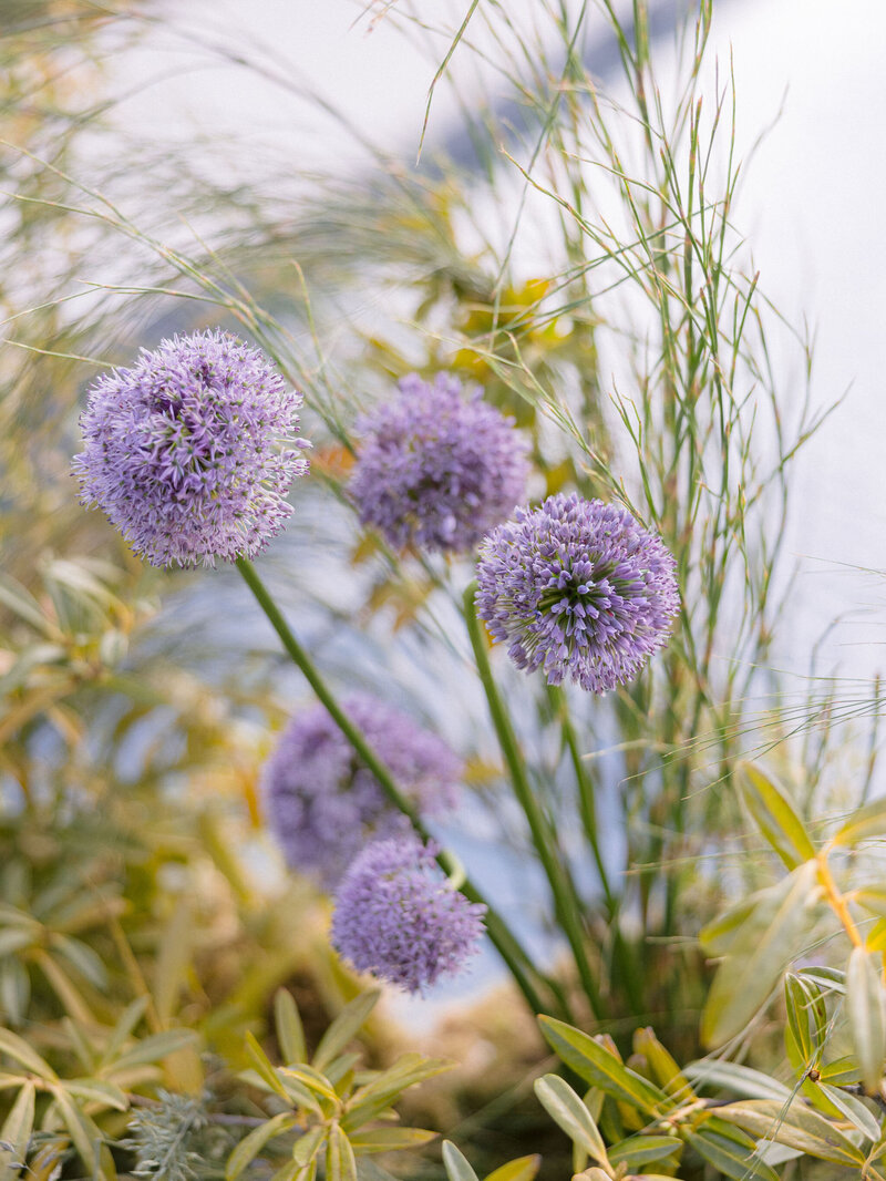 larissa-cleveland-photographer-napa-california-wine-country-wedding-private-estate-007