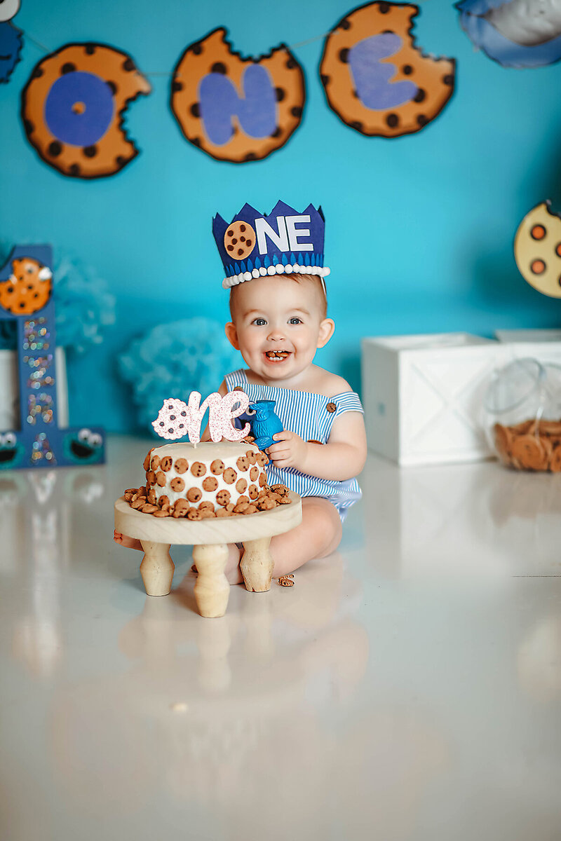 cookie monster cake smash ashley mcclintock photography 3