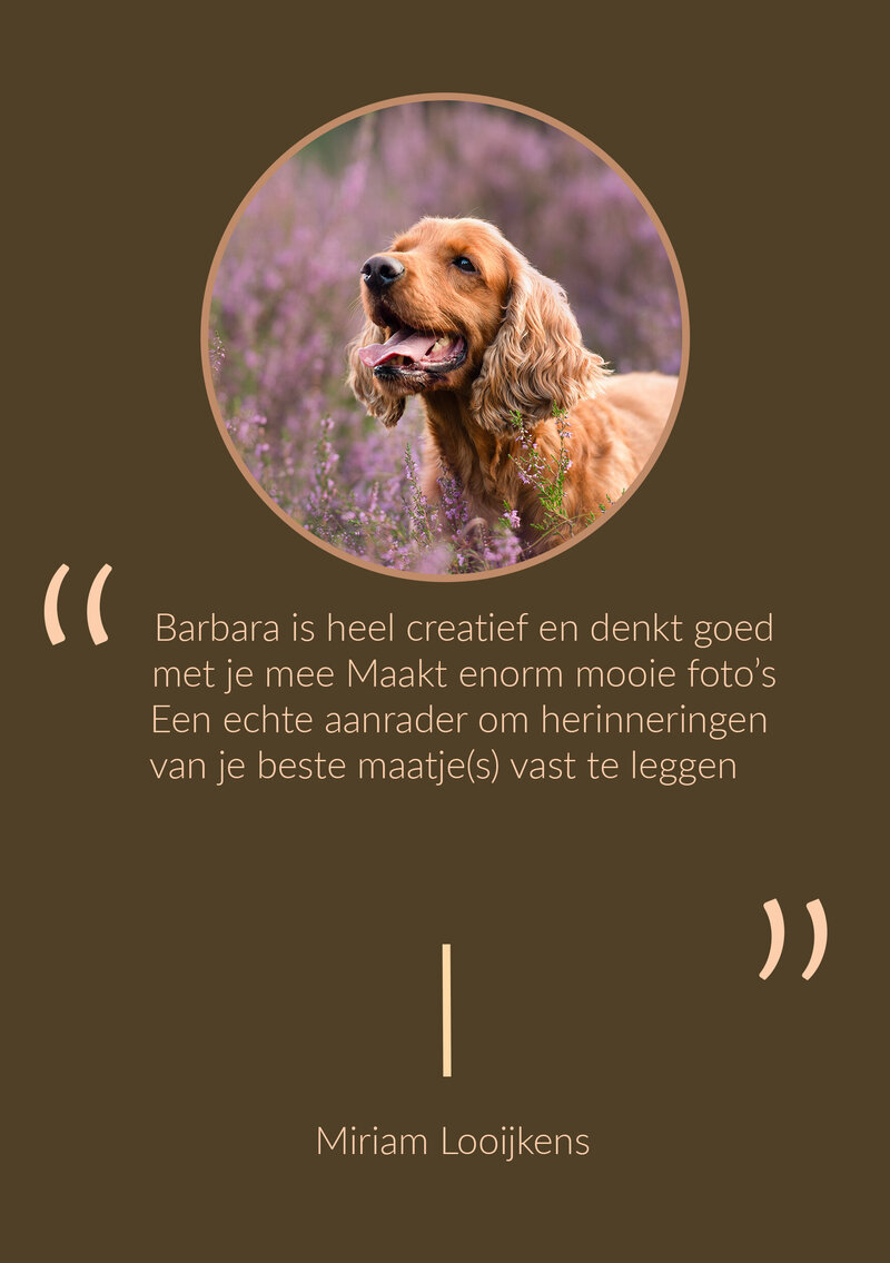 Review MIRIAM