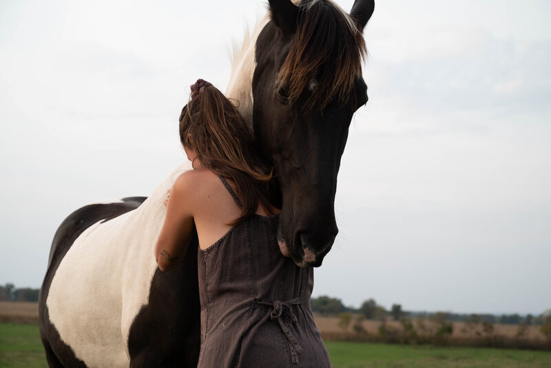 soul horse