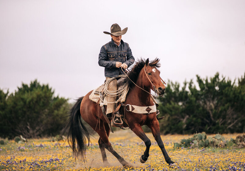 sale horse photography in kansas