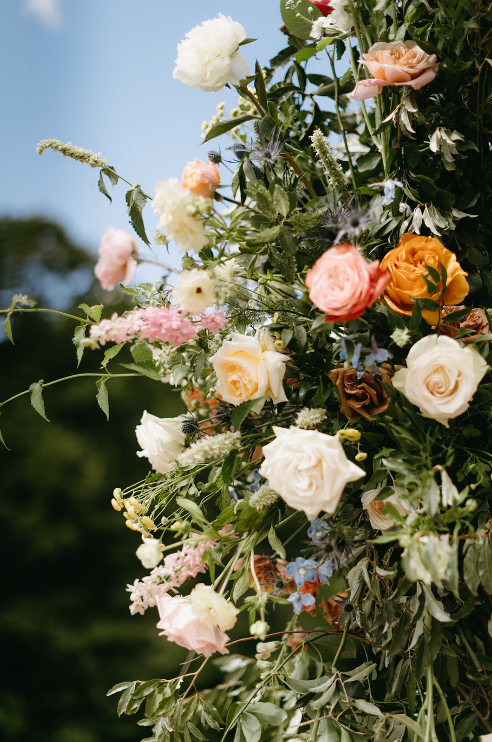 Screenshot 2023-08-31 104255