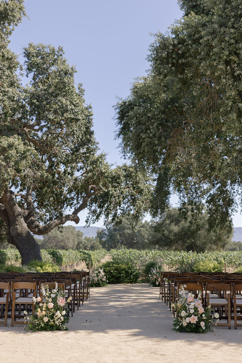 Malaya Images - 080925 Vanessa and Adam - Sneak Peek (19 of 85)_websize