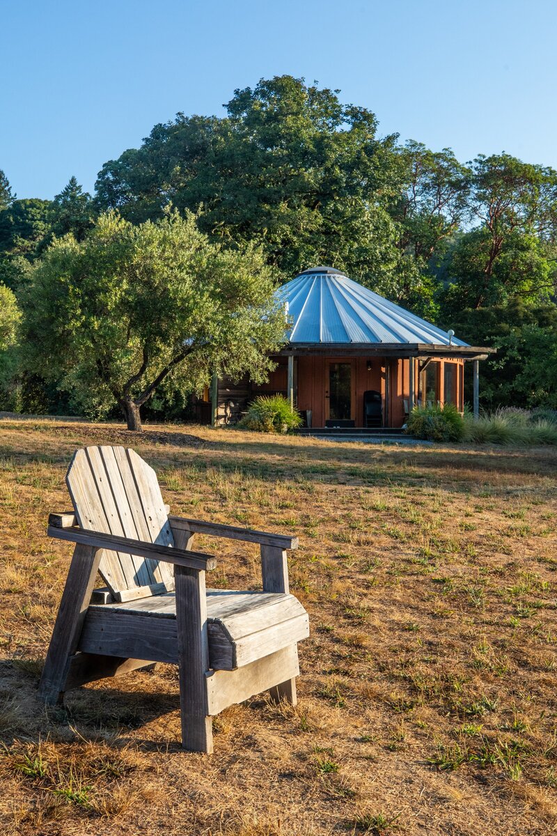 Spiritual Psychedelic Journeys in Mill Valley