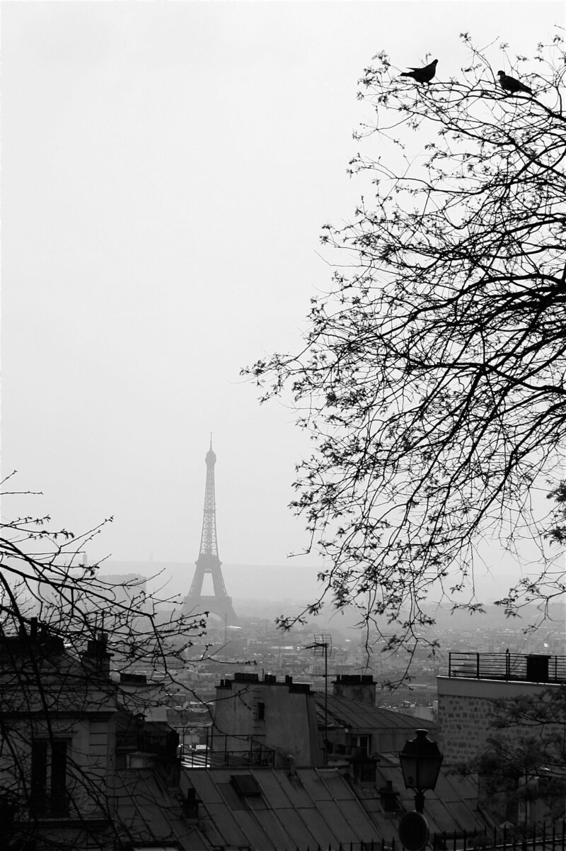 Paris photo by Karissa Van Tassel entitled Love Birds featuring the Eiffel Tower