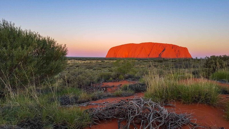Uluru glowing red at sunset, surrounded by the rugged landscape of the Australian Outback with desert vegetation in the foreground ©Stephanie Dosch | theViatrix Private Australia Luxury Travel