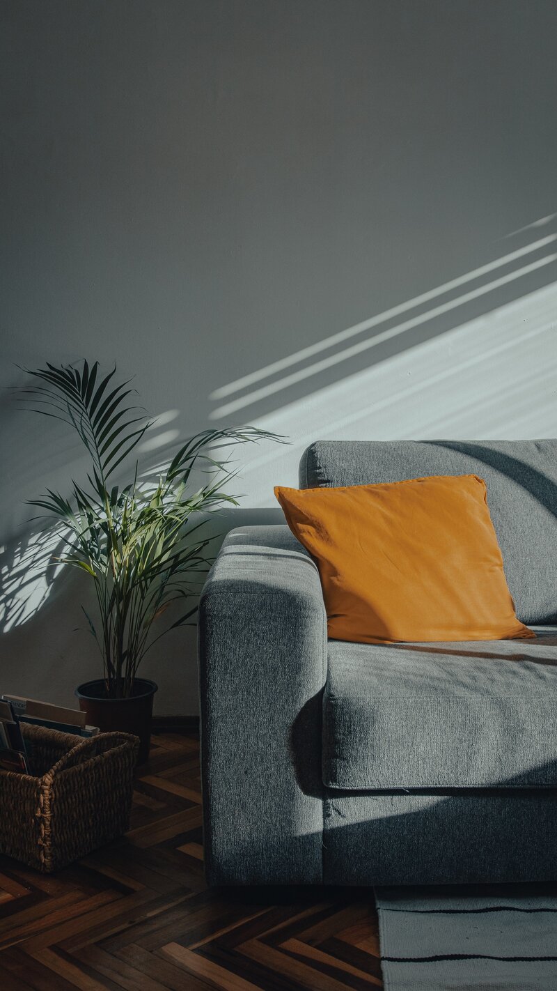 A gray blue couch with an orange pillow beside a plant with shadows against the wall behind couch