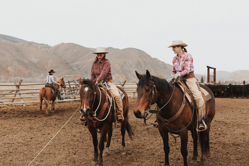 Two cowgirls roping calves at a branding