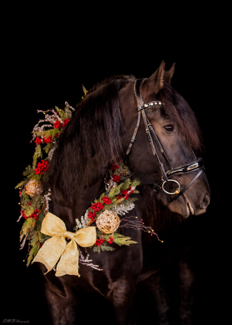 20241116-20241116-_MG_5058