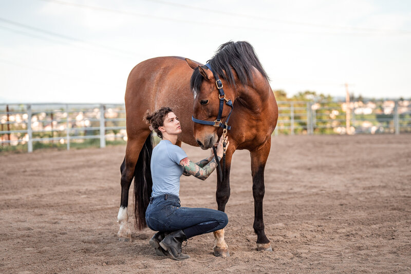 Equine bodyworker treating a dressage horse to massage and stretching