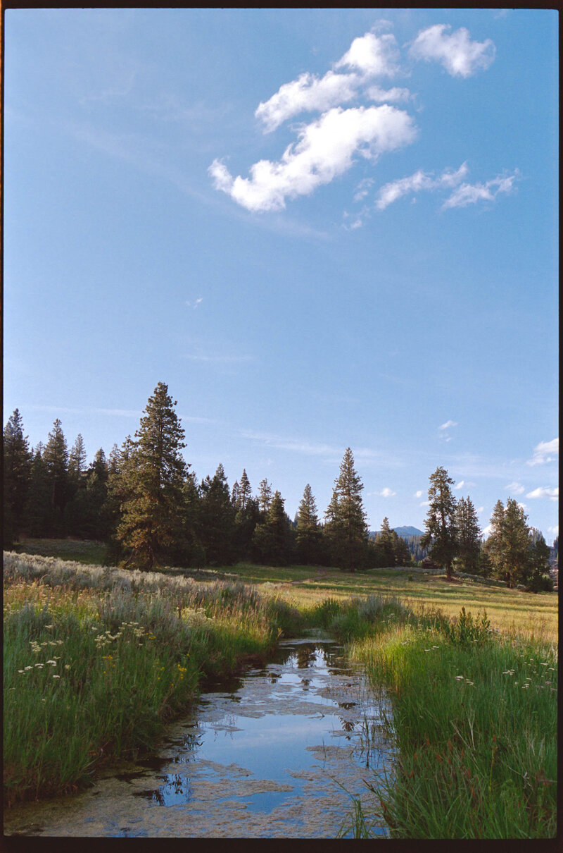 Jess-Buckley-Wedding-Photo-Idaho-Ranch-57