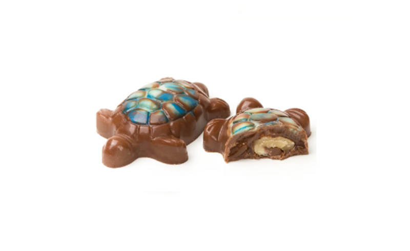 toasted walnut and caramel chocolate