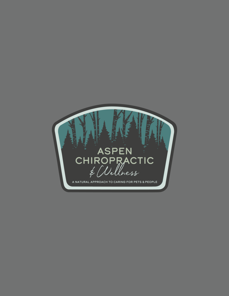 aspen-2022-shirt-presentation-V2-badge-10