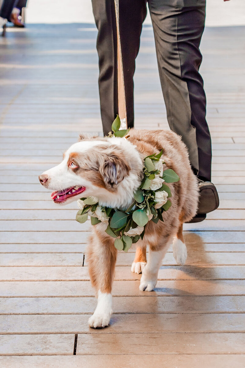 rachel-steven-wedding-700