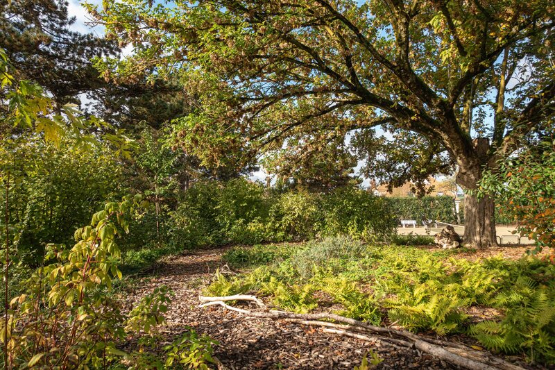 HORUS PAYSAGES_architecte paysagiste_Val trebbia_stanislas jung-19