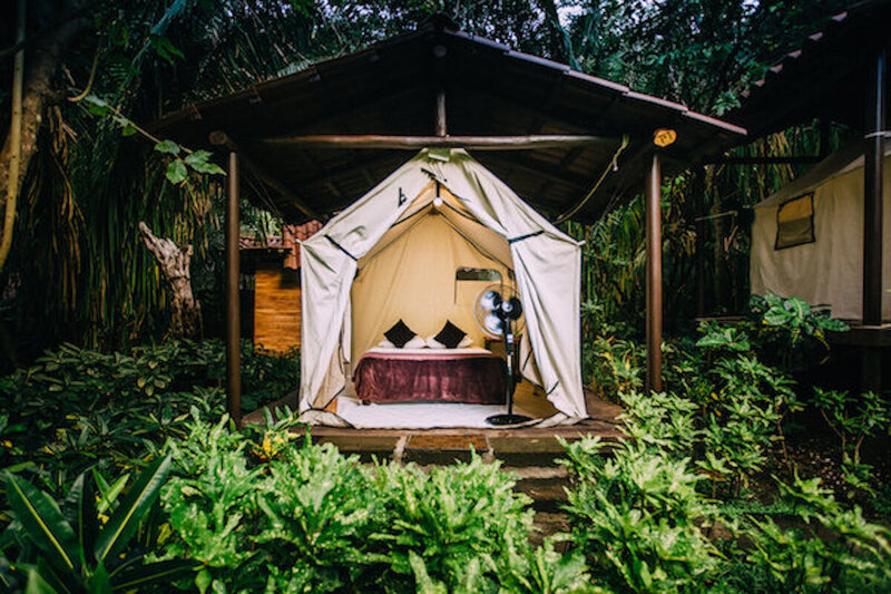 outside platform tent blue spirit costa rica