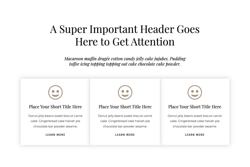 Showit Canvas Kit Bullet Points