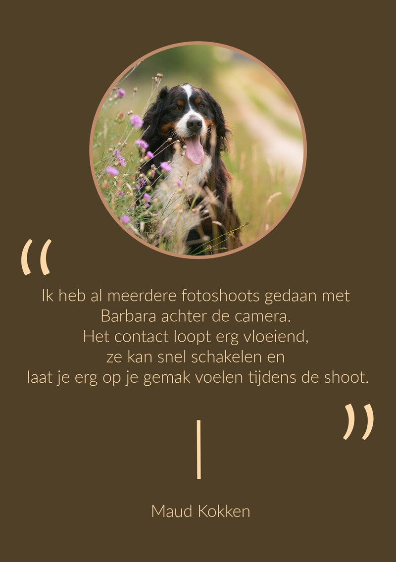Review MAUD