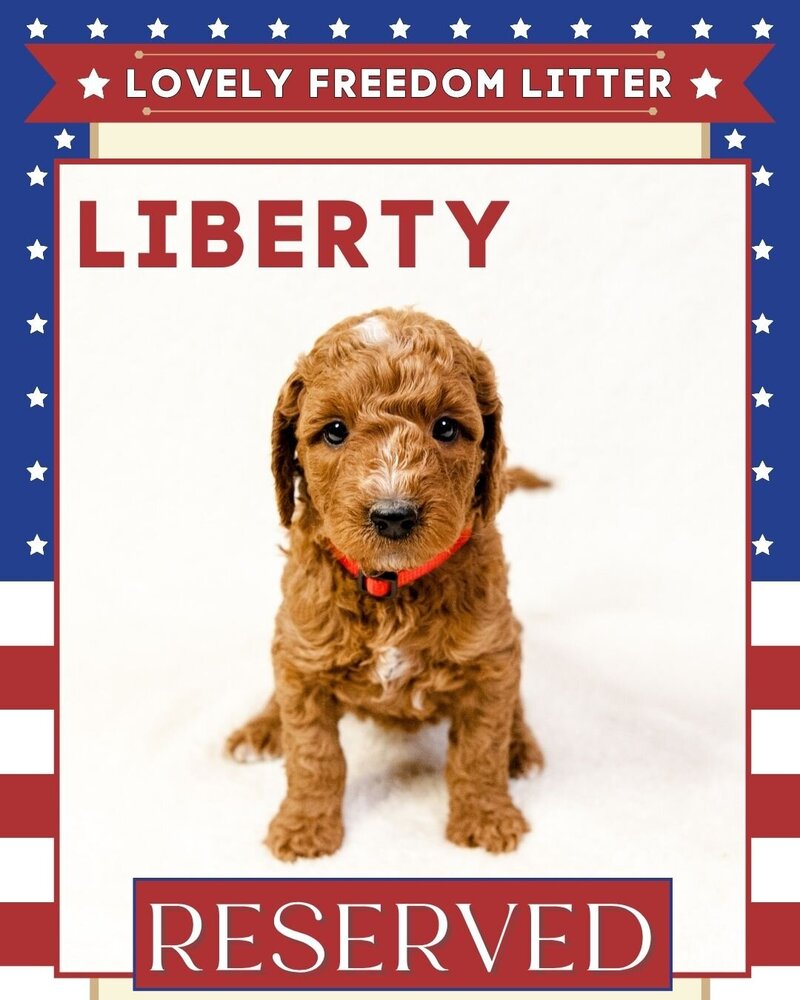 Freedom - Red Liberty Female