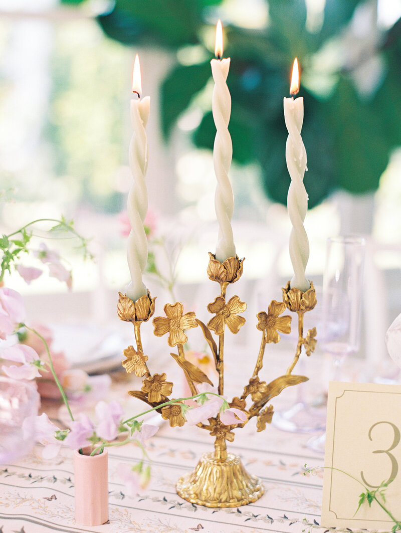 Lilley-Mansion-wedding_15
