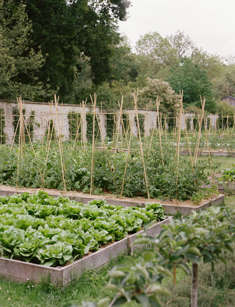 Fleuriste-mariage-domaine-de-primard-wedding-florist-france (5)