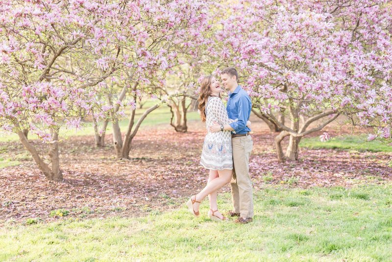 goodale-park-pink-magnolia-trees-in-the-spring