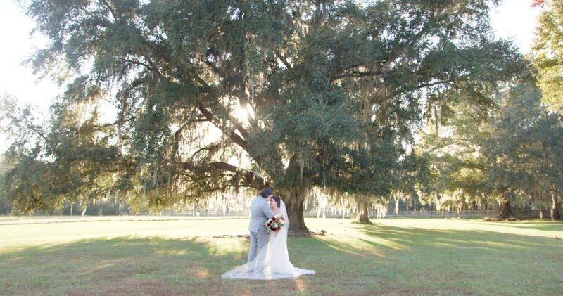 bride and groom under 300 year old live oak tree with sunlight glowing behind them