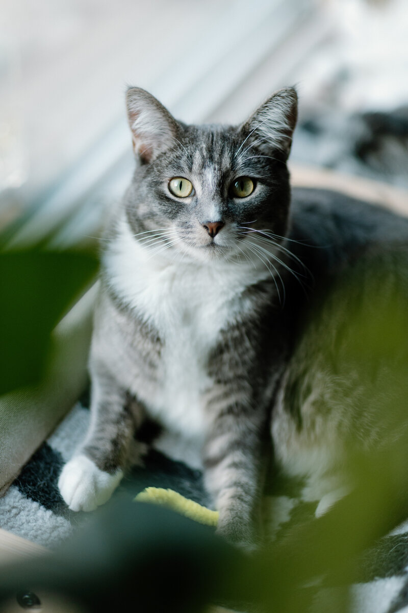 luckylady_2025-KAYLAESPARZAPHOTOGRAPHY-137