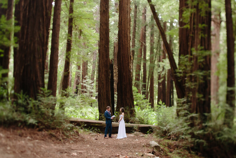 bride and groom say wedding vows in forest