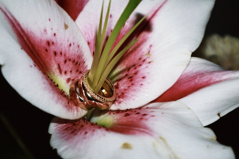 Artistic image of flower with jewelry from Luxury Photographer at ADP Studio